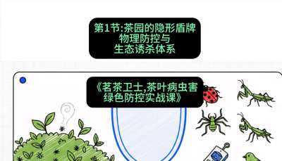 第01节：茶园的&ldquo;隐形盾牌&rdquo;&mdash;&mdash;物理防控与生态诱杀体系，课程：《茗茶卫士&mdash;&mdash;茶叶病虫害绿色防控实战课》#识农AI