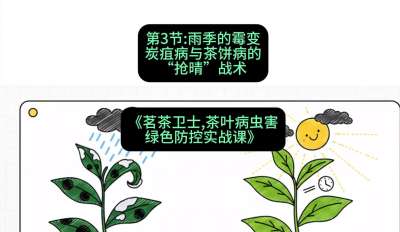 第03节：雨季的霉变&mdash;&mdash;炭疽病与茶饼病的&ldquo;抢晴&rdquo;战术，课程：《茗茶卫士&mdash;&mdash;茶叶病虫害绿色防控实战课》#识农AI