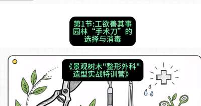 第01节：工欲善其事&mdash;&mdash;园林&ldquo;手术刀&rdquo;的选择与消毒，课程：《景观树木&ldquo;整形外科&rdquo;造型实战特训营》#识农AI