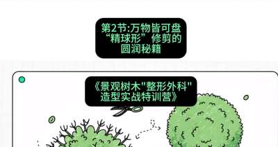 第02节：万物皆可盘&mdash;&mdash;&ldquo;精球形&rdquo;修剪的圆润秘籍，课程：《景观树木&ldquo;整形外科&rdquo;造型实战特训营》#识农AI