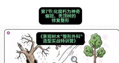 第07节：化腐朽为神奇&mdash;&mdash;偏冠、秃顶树的修复整形，课程：《景观树木&ldquo;整形外科&rdquo;造型实战特训营》#识农AI