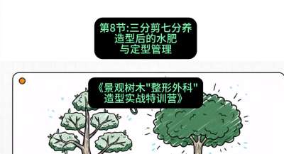 第08节：三分剪七分养&mdash;&mdash;造型后的水肥与定型管理，课程：《景观树木&ldquo;整形外科&rdquo;造型实战特训营》#识农AI