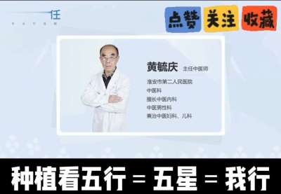 中药材淫羊藿怎么种？听专家一次讲明白！不挑地块好管理，耐寒耐旱省心省力，新手也能轻松上手，药用价值高、市场需求稳，妥妥的增收好品种～ 从生长习性到采收要点，干货满满无废话，种植疑问直接问，一对一答疑解