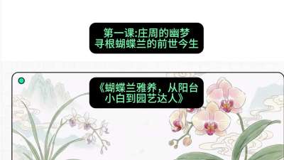 第一节：庄周的幽梦：寻根蝴蝶兰的前世今生，课程：《蝴蝶兰雅养六讲：从阳台小白到园艺达人》#识农AI