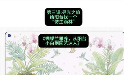 第三节：寻光之旅：给阳台找一个&ldquo;仿生雨林&rdquo;，课程：《蝴蝶兰雅养六讲：从阳台小白到园艺达人》#识农AI