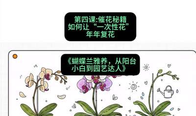 第四节：催花秘籍：如何让&ldquo;一次性花&rdquo;年年复花，课程：《蝴蝶兰雅养六讲：从阳台小白到园艺达人》#识农AI