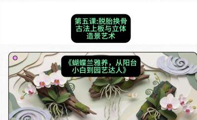 第五节：脱胎换骨：古法上板与立体造景艺术，课程：《蝴蝶兰雅养六讲：从阳台小白到园艺达人》#识农AI