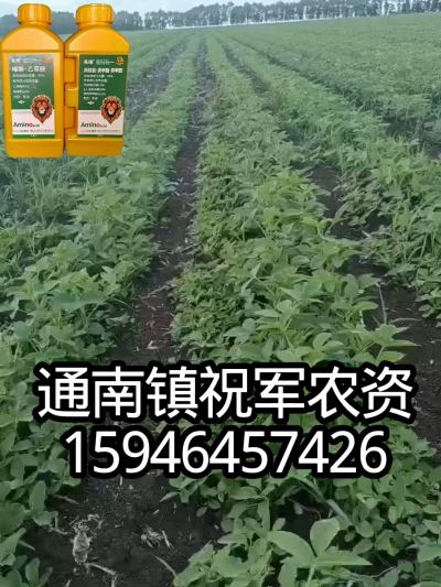 大豆苗前封闭，可封红根苋菜，灰菜，兰花菜，野豆子，捞豆秧等恶性杂草，封杀兼备的高端产品。