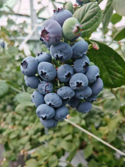 http://st-static1.hexicha.com/forums/2026/03/06/17727637035628.jpeg