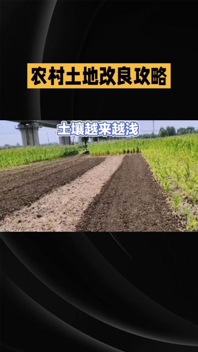 1. 先搞懂：你到底要改良哪块地、种什么
 
- 土土土在哪里？
就是你自家农田、菜地、果园，哪块地想种庄稼，就测哪块地的土。
​
- 有水没有水？
有水能浇：改良更省事，施肥、调酸碱都好操作。
没水