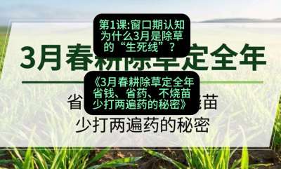 第1节：窗口期认知，为什么3月是除草的&ldquo;生死线&rdquo;？，课程：《3月春耕除草定全年：省钱、省药、不烧苗、少打两遍药的秘密》