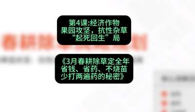 第4节：经济作物果园攻坚，抗性杂草&ldquo;起死回生&rdquo;局，课程：《3月春耕除草定全年：省钱、省药、不烧苗、少打两遍药的秘密》