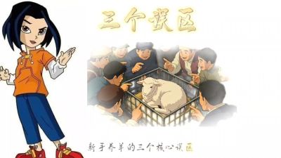 对于新手养殖三大误区的讲解，以及贴合实地的价格计算，从而使新人养殖来判断自己走哪个方向